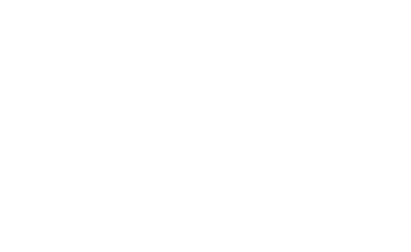 Fylde Council